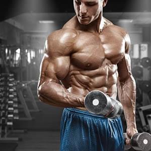 Musculation
